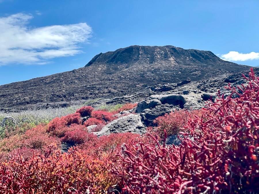 Galápagos Cruise Review includes photos of the isle of Chinese Hat