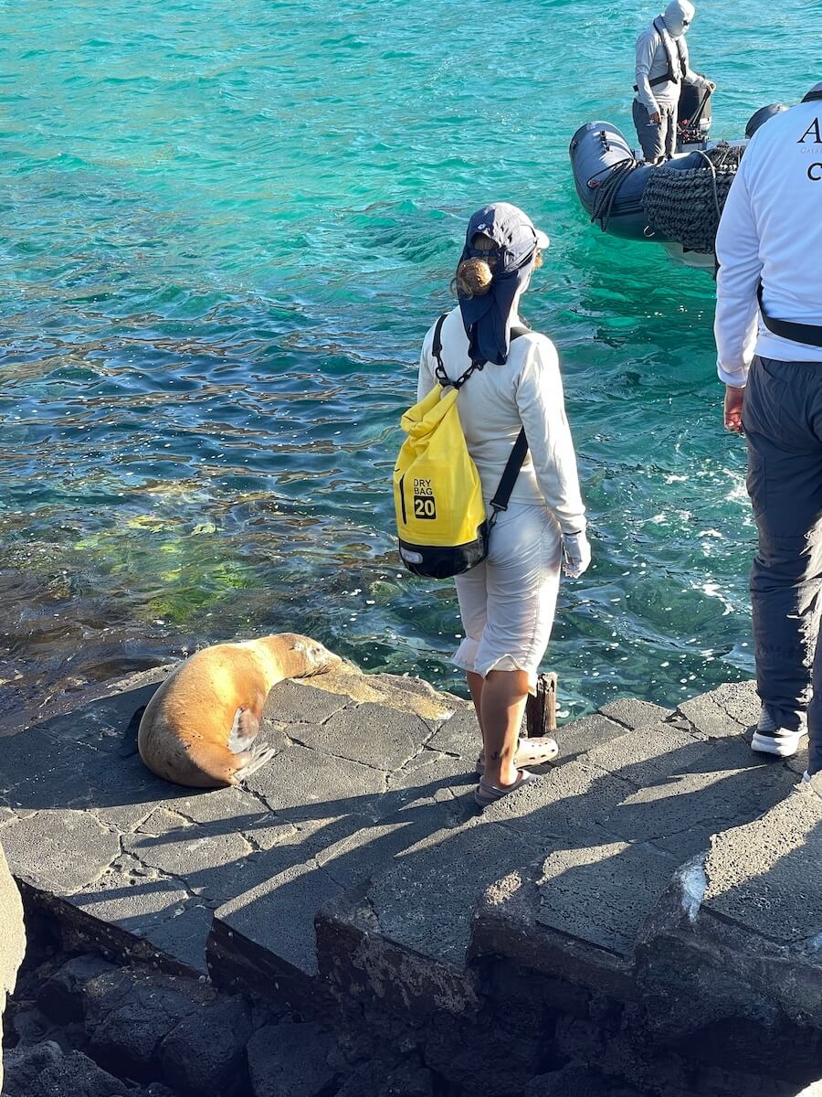 Galapagos Cruise review includes the places to see Sea Lions