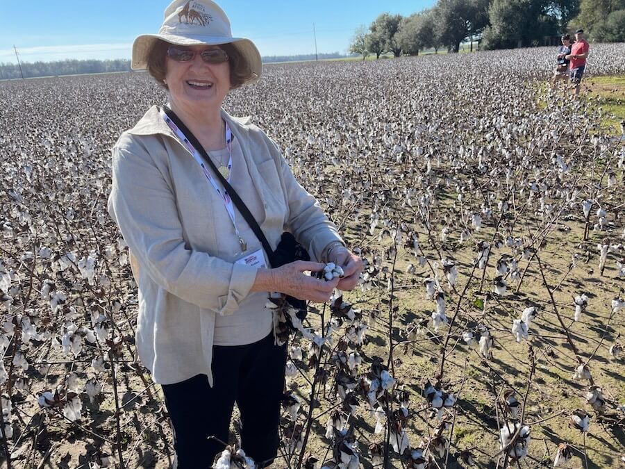 Sandra picks cotton in a huge Louisiana field on a Mississippi River cruise