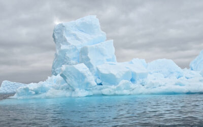 Ocean Endeavor Antarctica Review — A Reader Shares Details About Her 10-Night Expedition