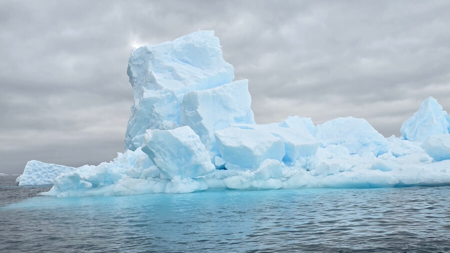 Ocean Endeavor Antarctica Review — A Reader Shares Details About Her 10-Night Expedition