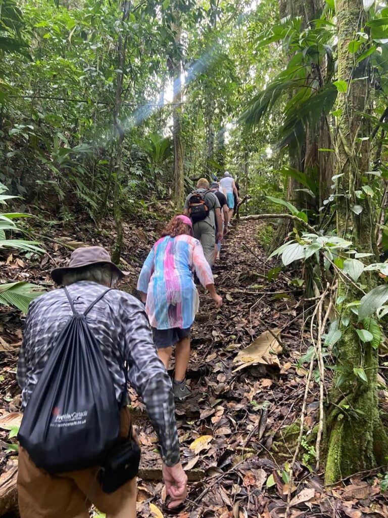 a walk in Piedras Blancas on a Costa Rica cruise