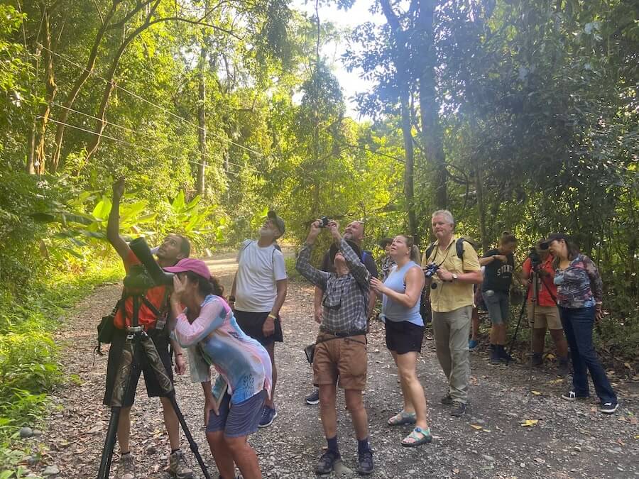 the guides tripods with zoom lenses in Costa Rica