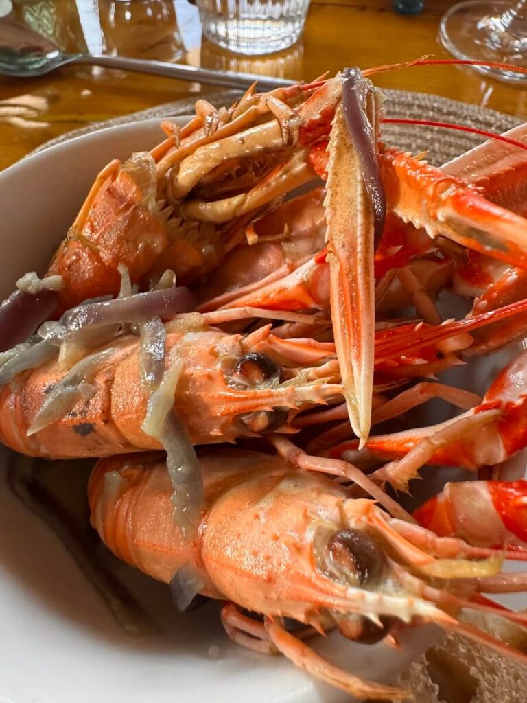 Emma Jane Hebrides Islands Cruise features local cuisine like Scottish langoustines
