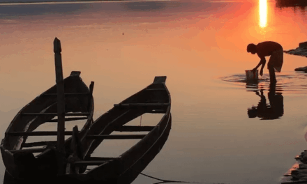 Viking in India: The Line Expands To India’s Brahmaputra River