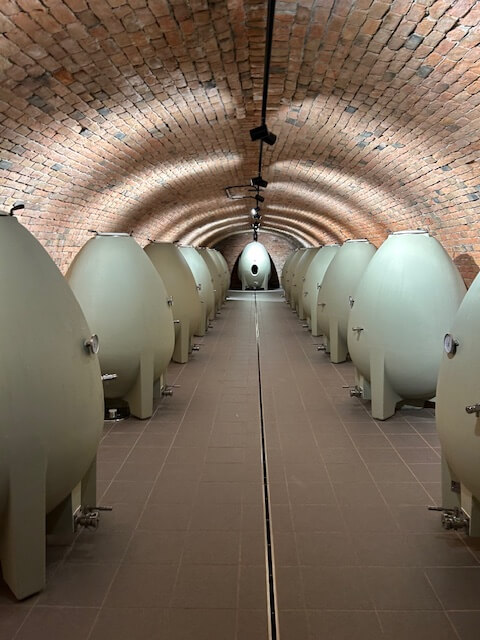 The ceramic egg-shaped casks at the winery we visited in Croatia on our AmaMagna cruise