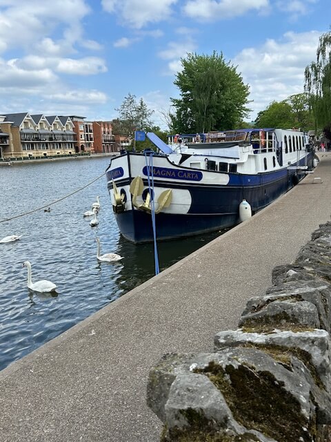 Magna Carta Thames River Cruise Review describes the many swans and ducks along the way
