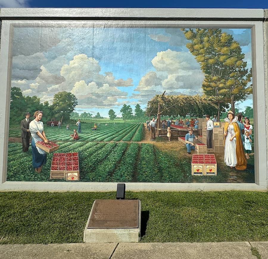 Paducah’s strawberry-growing heritage celebrated on the floodwall. 