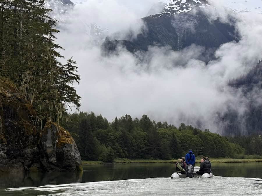 Forging along the Kitlope in British Columbia