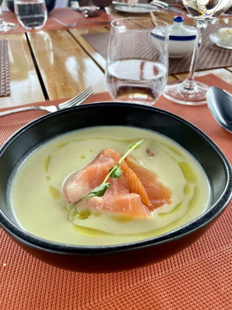Velvety vichyssoise on a Canal du Midi barge cruise aboard Enchante