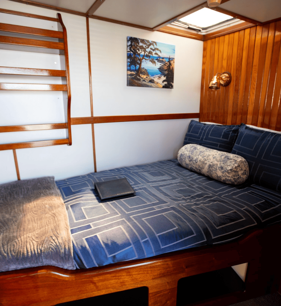 A Cat 2 cabin on a Maple Leaf Adventures British Columbia cruise aboard the MV Swell
