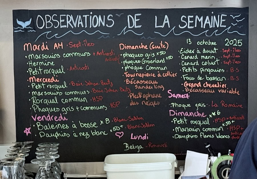 The blackboard in the Bistro of the Bella Desgagnés cargo passenger cruise