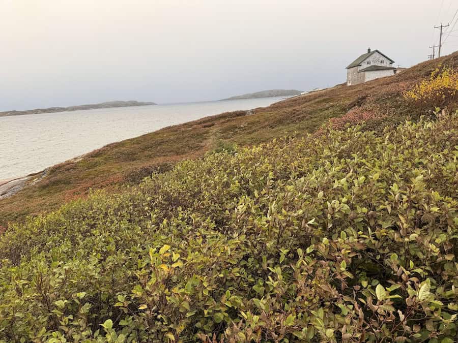 Bella Desgagnés cargo passenger cruise visits Harrington Harbour