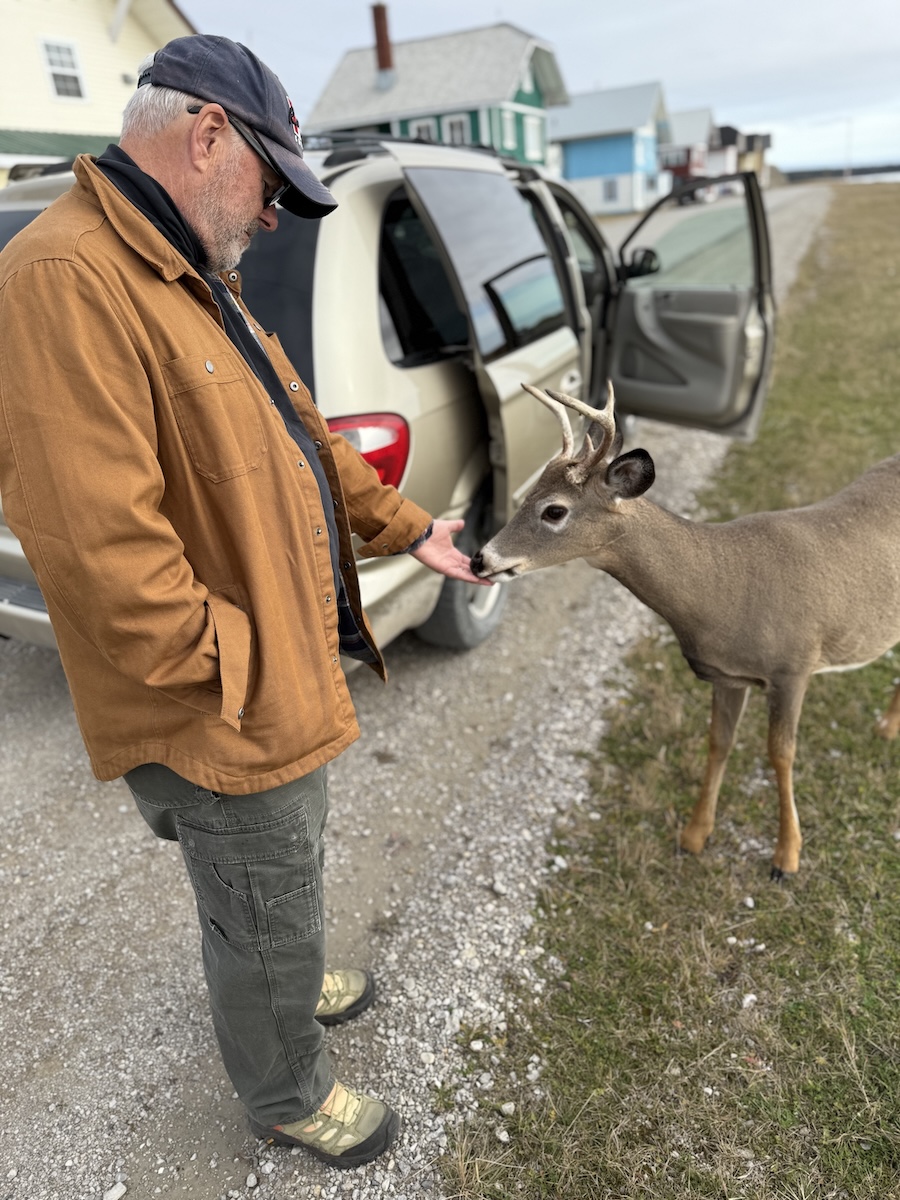 Bella Desgagnés cargo passenger cruise includes wildife sightings 