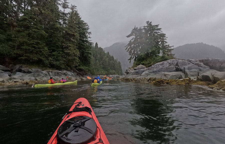 Wilderness Legacy Cruise Ship Review including details on kayaking in all kinds of weather