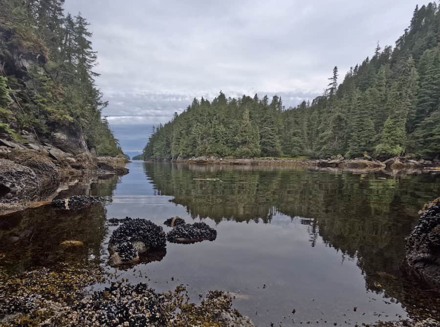 Wilderness Legacy Cruise Ship Review includes info on Takatz Bay