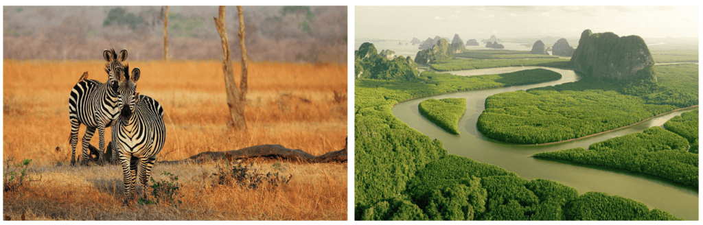 The new Atlas Ocean Voyages ship will visit the Far East and Africa