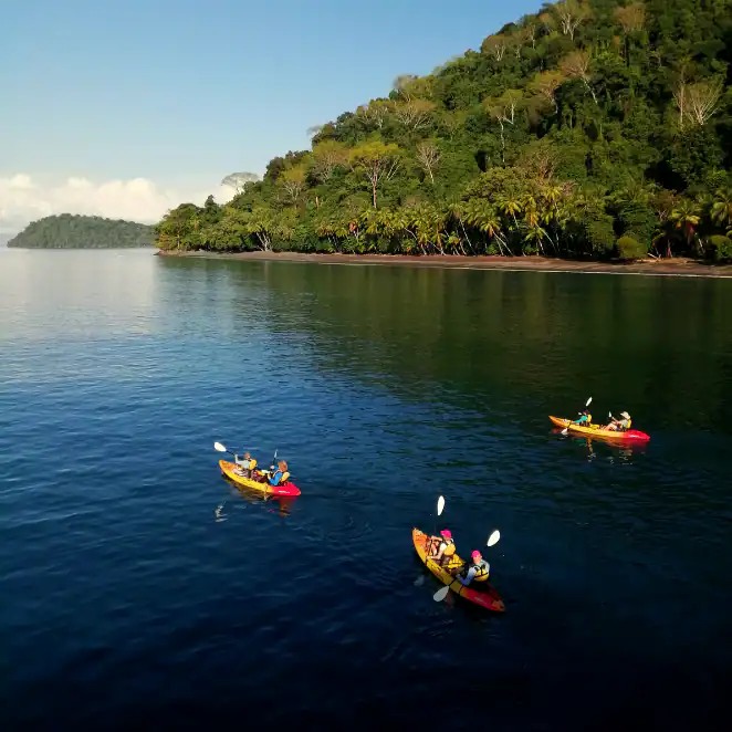Costa Rica UnCruise Adventures Start Again (2026) — Kayak, Hike & Cruise in Secluded Bays 6 Kayaking along the Pacific coast of Costa Rica