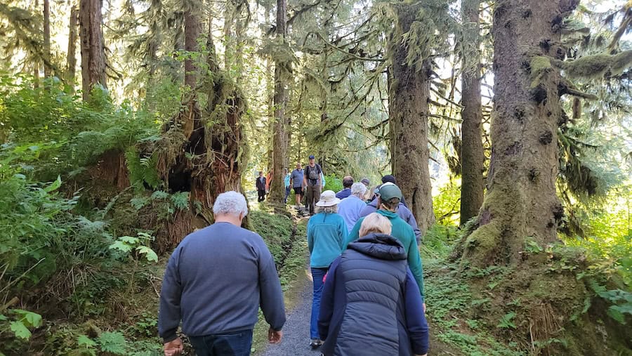 Passengers hike in Tongass National Forest to reach the bear viewing platform