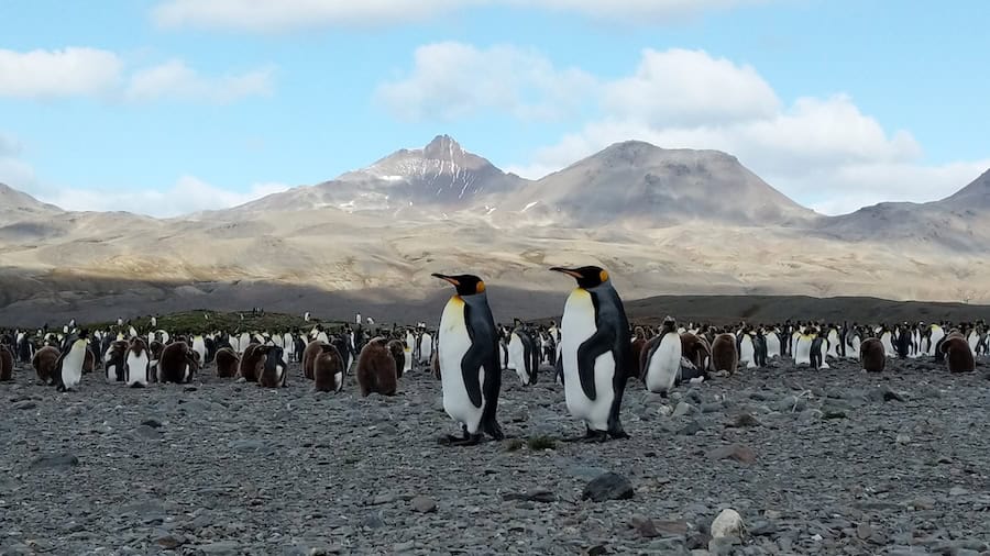 John Roberts shares Antarctica Cruise Tips