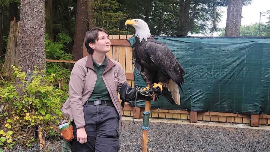 The Alaska Raptor Center in Sitka 