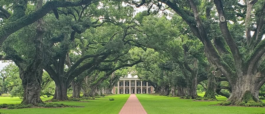 Complete Mississippi River Cruise (2026): A Review Of 21 Nights Aboard American Serenade 8 Complete Mississippi River Cruise stops in Vacherie to see the Oak Alley Plantation