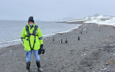 Home 2 Atlas Antarctica Cruise Review (2026): At Last, On A Real Expedition Ship, the World Navigator