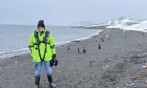 Atlas Antarctica Cruise Review (2026): At Last, On A Real Expedition Ship, the World Navigator