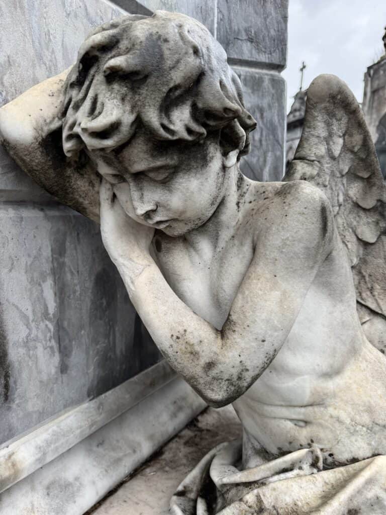 Atlas Antarctica Cruise Review (2026): At Last, On A Real Expedition Ship, the World Navigator 2 Atlas Antarctica Cruise Review includes info on Buenos Aires