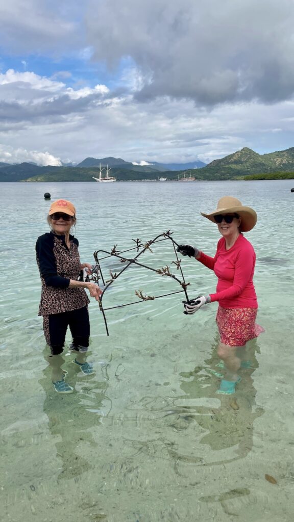 SeaTrek Indonesia Sailing Cruise