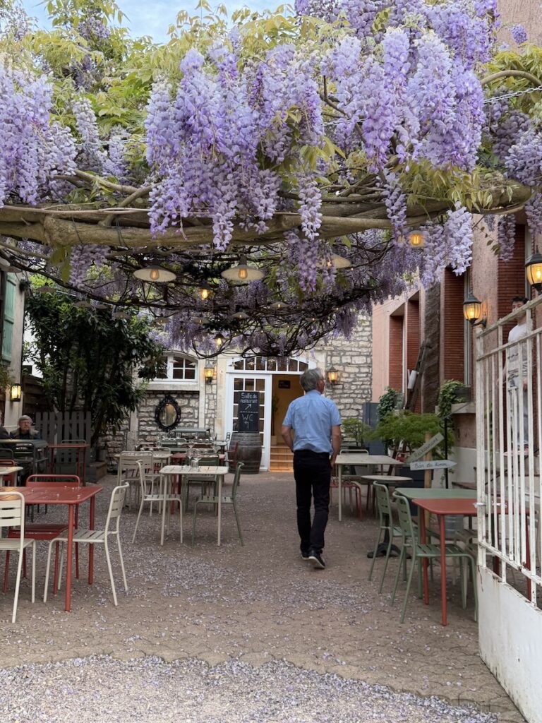 This French Barge Is Different (2026 REVIEW) — Choose The Savoir Vivre On The Burgundy Canal For The Cycling & Dinners Ashore 21 Dinner is at a different local restaurant each evening, unlike most barge cruises.