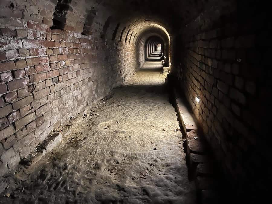 Cruising The Capital Cities Of The Danube On Uniworld’s Newest Ship (2026 REVIEW) 35 a view while on the Petrovaradin tunnel tour.